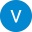 Valeriya Lisnevskaya, Google reviewer